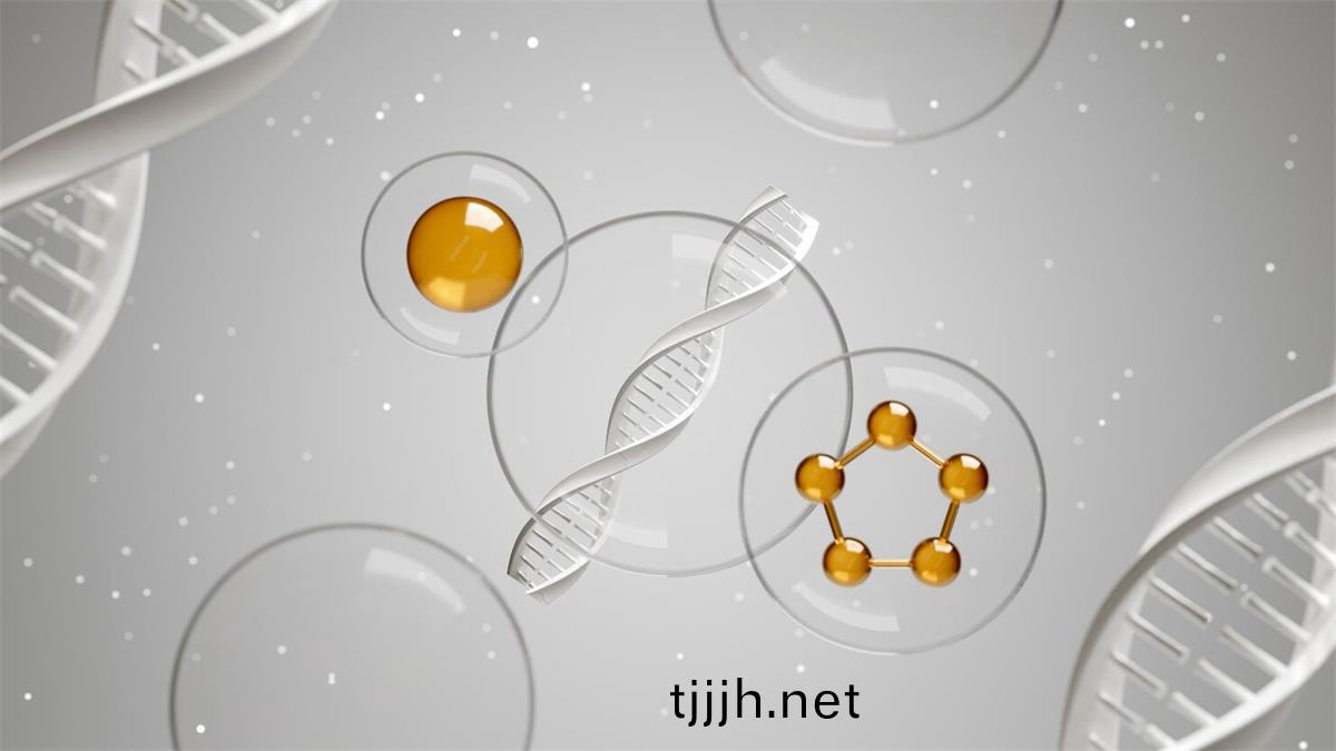 精胺昰(shi)哪箇氨基痠(suan)轉化而來的