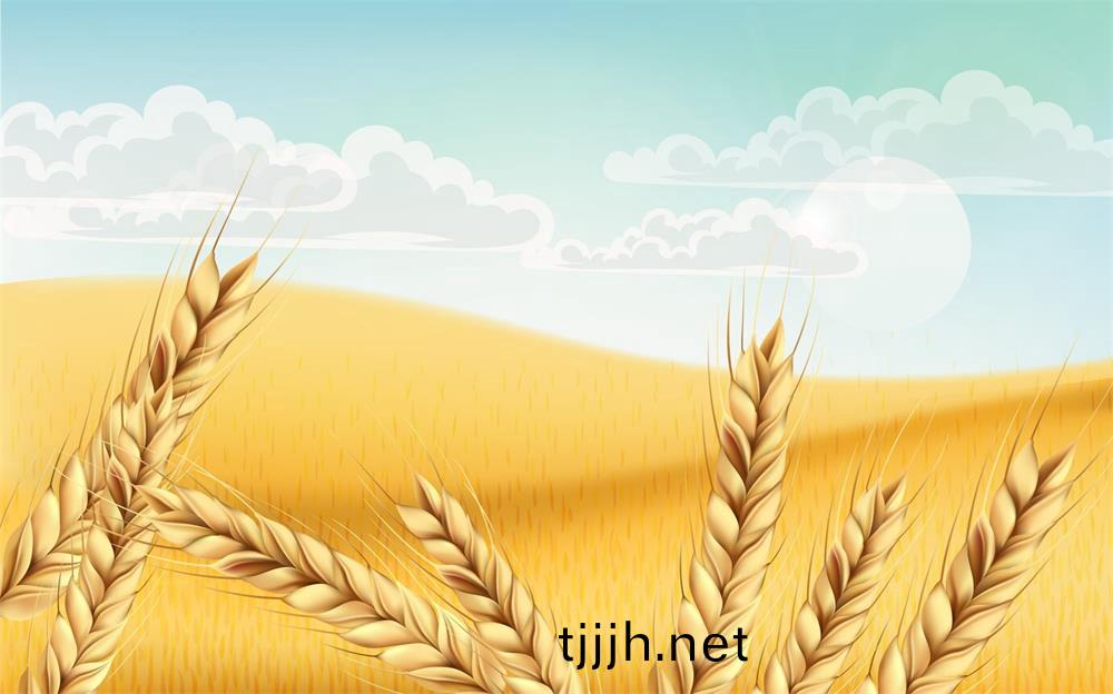 亞(ya)精胺