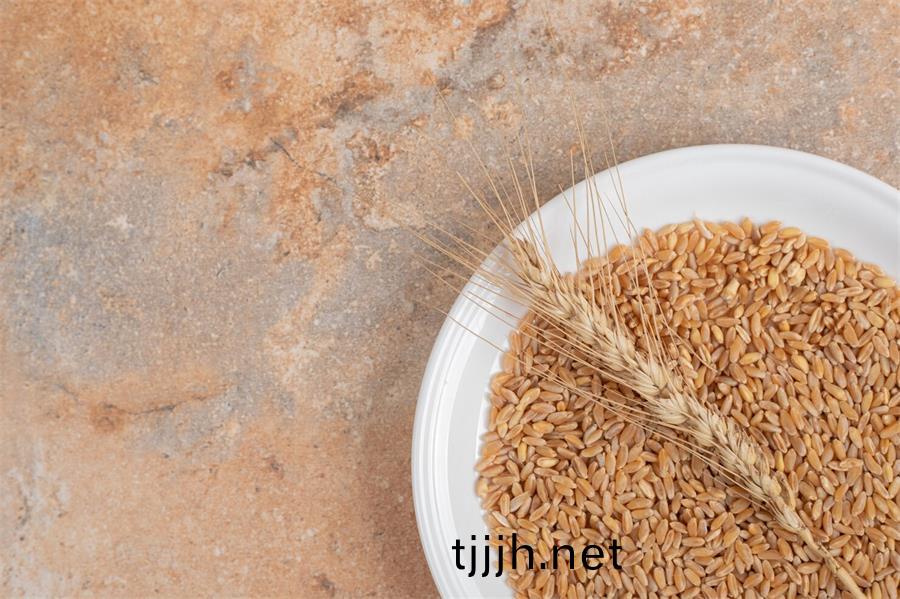 亞(ya)精(jing)胺