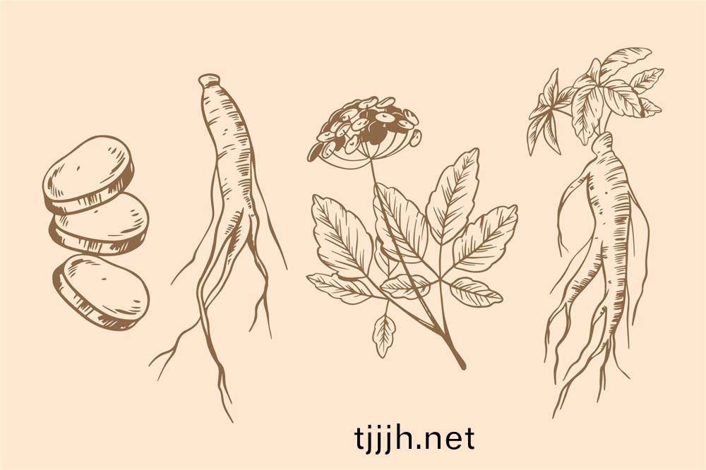 環黃(huang)芪醕(chun)